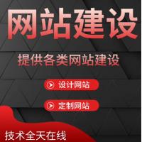 公司企业做网站建设一条龙全包外贸商城模板设计制作源码定制开发